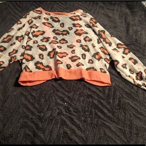 Hummingbird light sweater